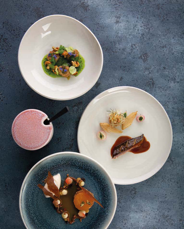 Rosenthal Junto - horeca servies