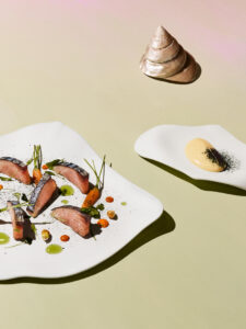 Cookplay Oceancook porselein collectie - Raya