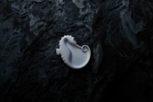 Cookplay Oceancook Sea horse