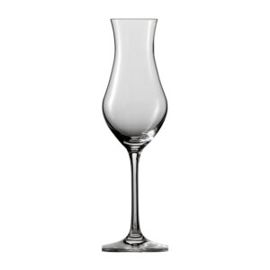 Schott-Zwiesel-Bar-Special-professioneel-glas