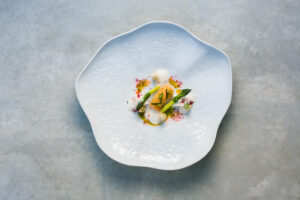 Vista Alegre- Chef's collection