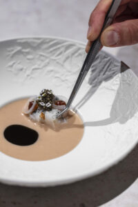 Vista Alegre- Chef's collection