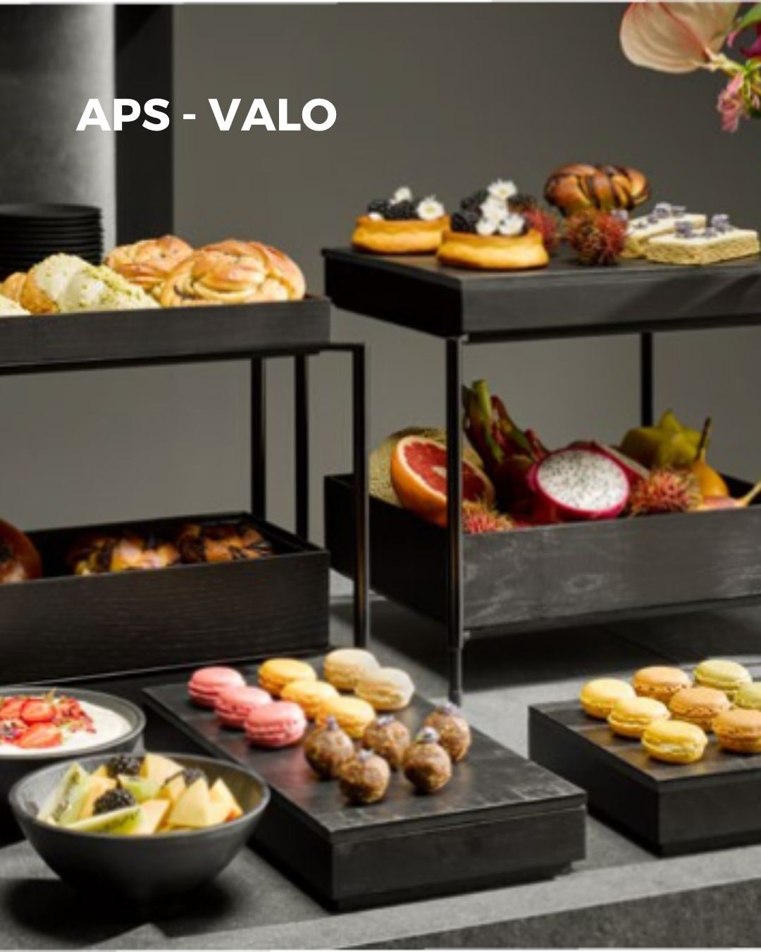 APS novelties - HOST 25 APS novelties - HOST 25